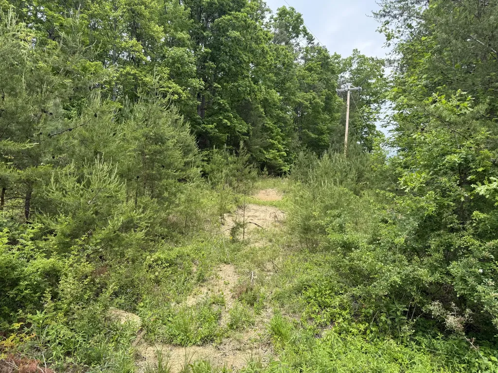 Lot 164 Ashland Camp Loop Beattyville KY 41311