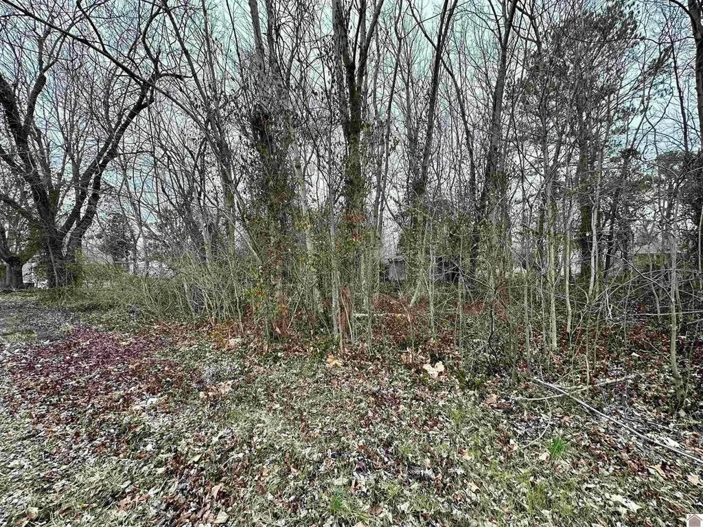 000 W First Street Gilbertsville KY 42044