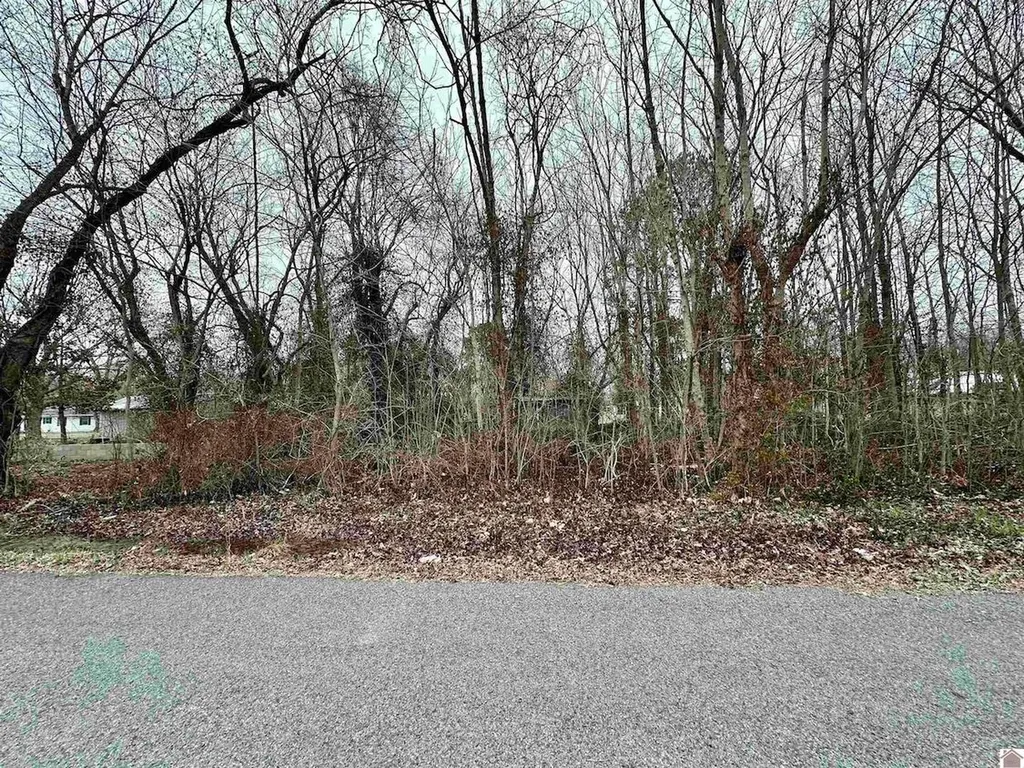 000 W First Street Gilbertsville KY 42044