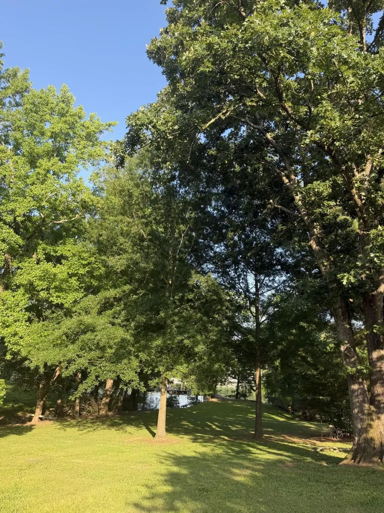 484 Blue Springs Boulevard Cadiz KY 42211