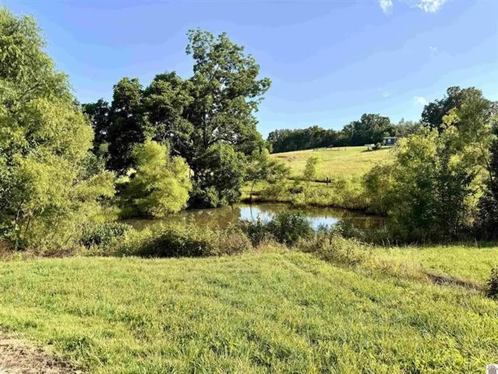 18665 S Ky-141 Sturgis KY 42459