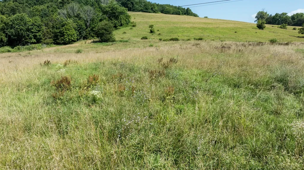 306 Godbey Road Bethelridge KY 42516