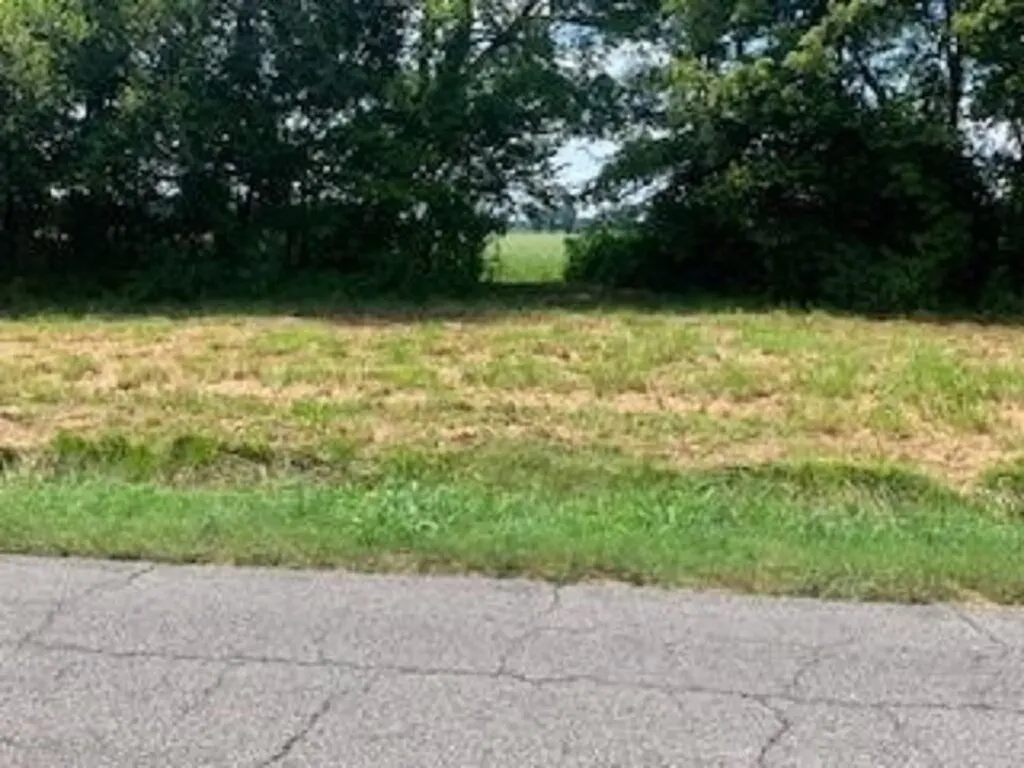 473 Needmore Road La Center KY 42056
