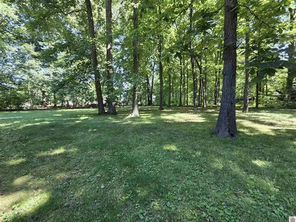 142 Hancock Lane Benton KY 42025