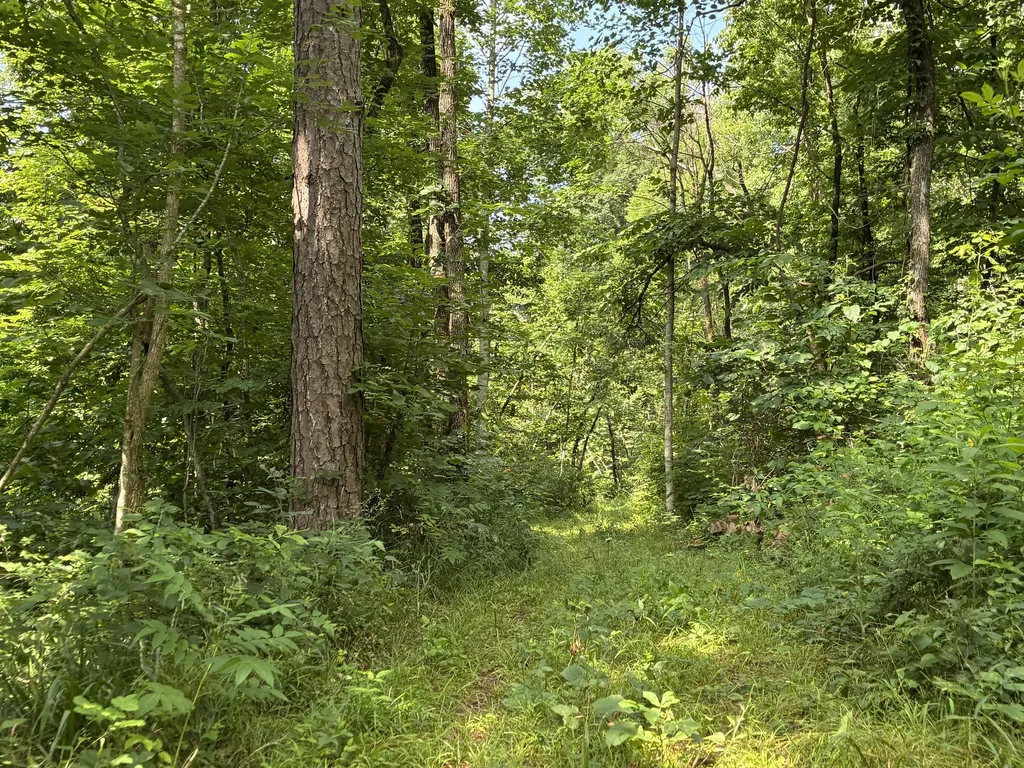 7466 Hawkins Branch Road Frenchburg KY 40322