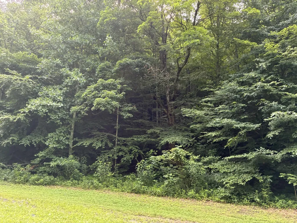 7466 Hawkins Branch Road Frenchburg KY 40322