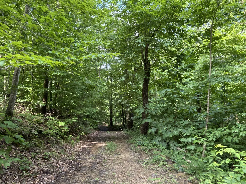 7466 Hawkins Branch Road Frenchburg KY 40322
