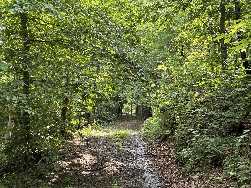 7466 Hawkins Branch Road Frenchburg KY 40322