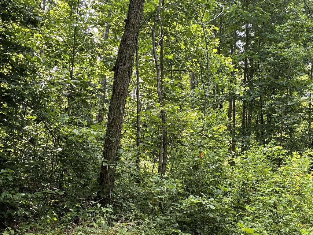 7466 Hawkins Branch Road Frenchburg KY 40322