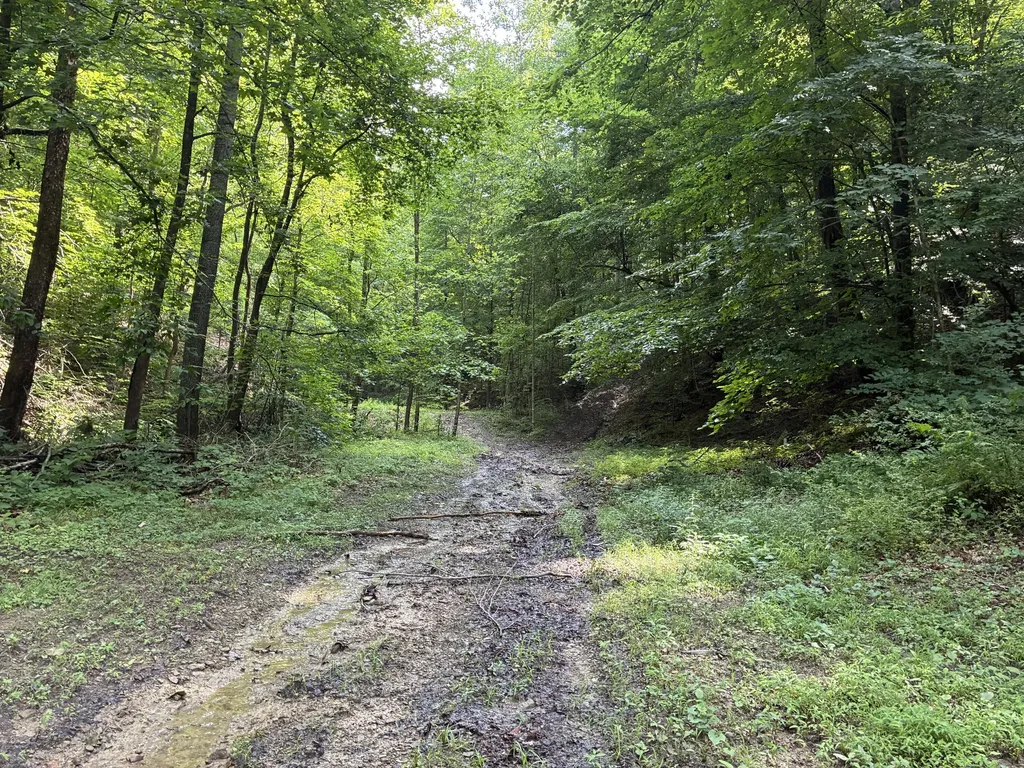 7466 Hawkins Branch Road Frenchburg KY 40322