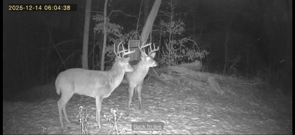 7466 Hawkins Branch Road Frenchburg KY 40322