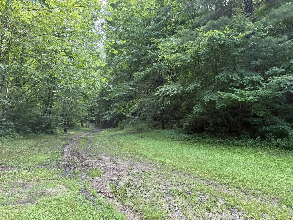 7466 Hawkins Branch Road Frenchburg KY 40322