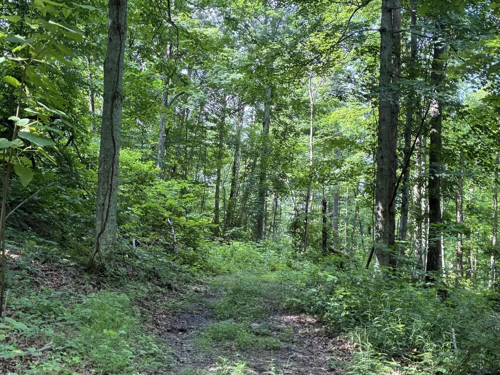 7466 Hawkins Branch Road Frenchburg KY 40322