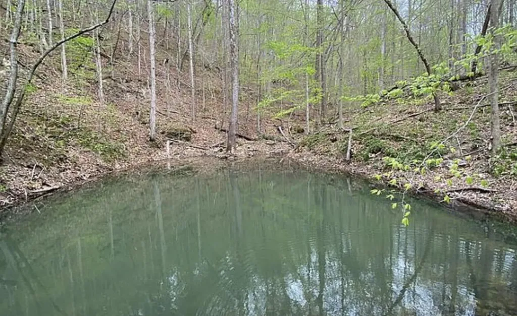 7466 Hawkins Branch Road Frenchburg KY 40322