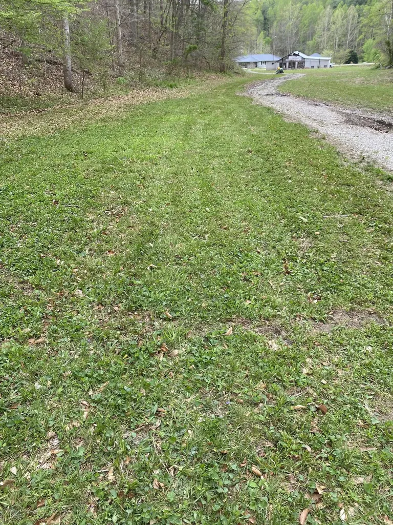 7466 Hawkins Branch Road Frenchburg KY 40322