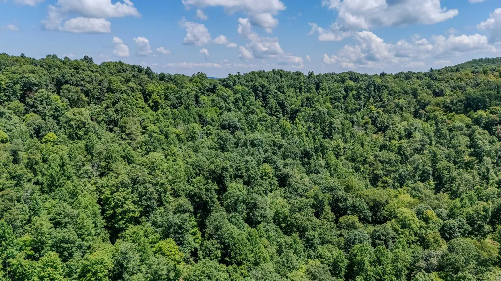 7466 Hawkins Branch Road Frenchburg KY 40322