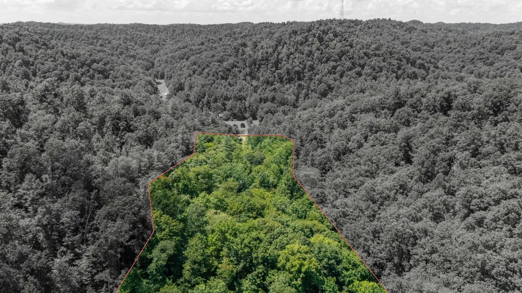 7466 Hawkins Branch Road Frenchburg KY 40322