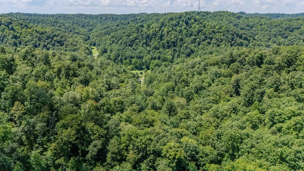 7466 Hawkins Branch Road Frenchburg KY 40322