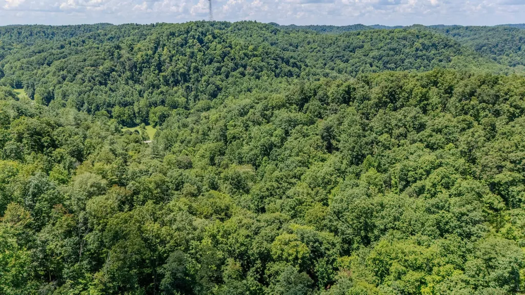 7466 Hawkins Branch Road Frenchburg KY 40322