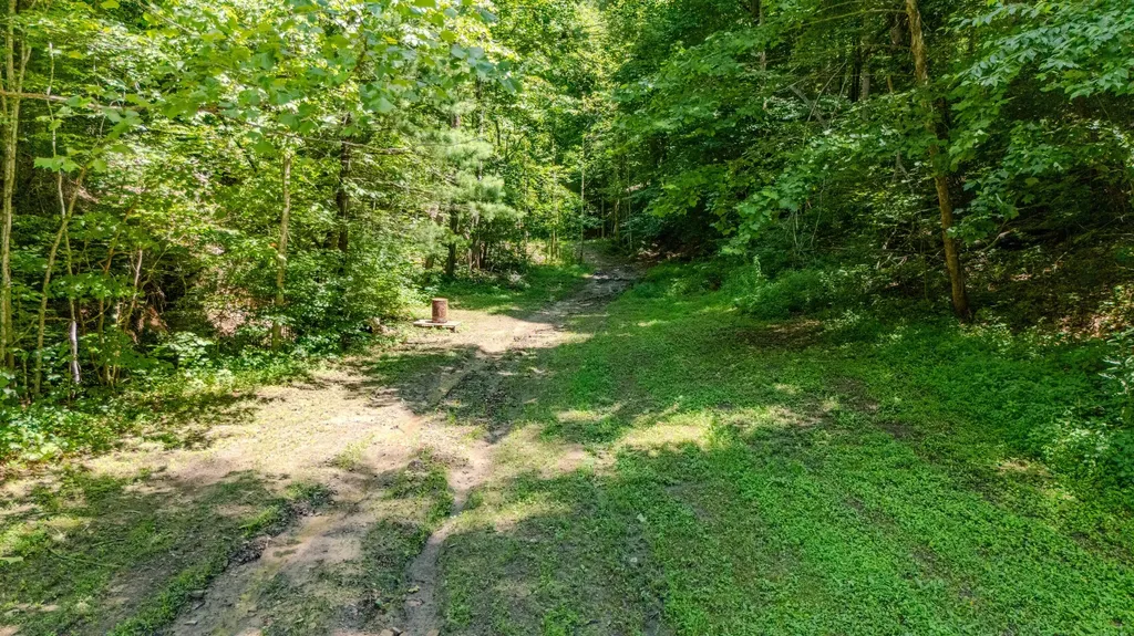 7466 Hawkins Branch Road Frenchburg KY 40322