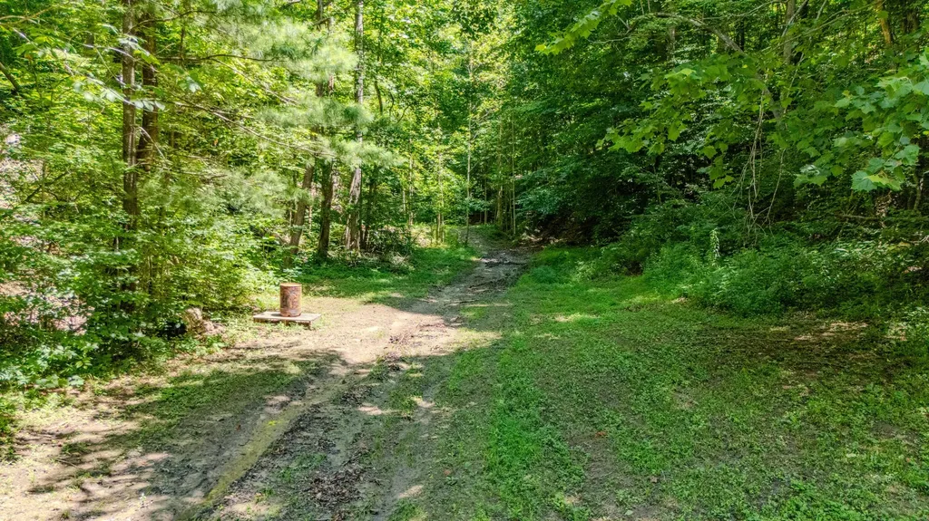 7466 Hawkins Branch Road Frenchburg KY 40322