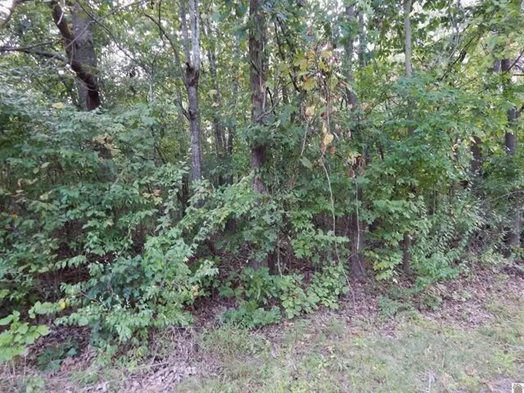 Lot 44 Forest Lane Eddyville KY 42038