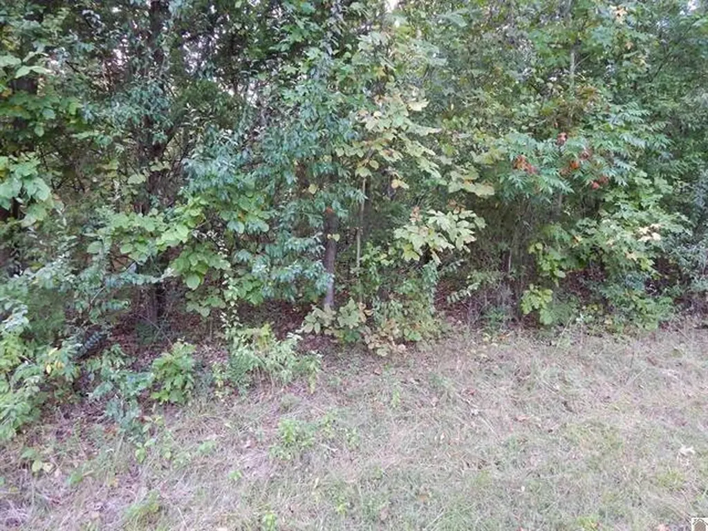 Lot 45 Forest Lane Eddyville KY 42038