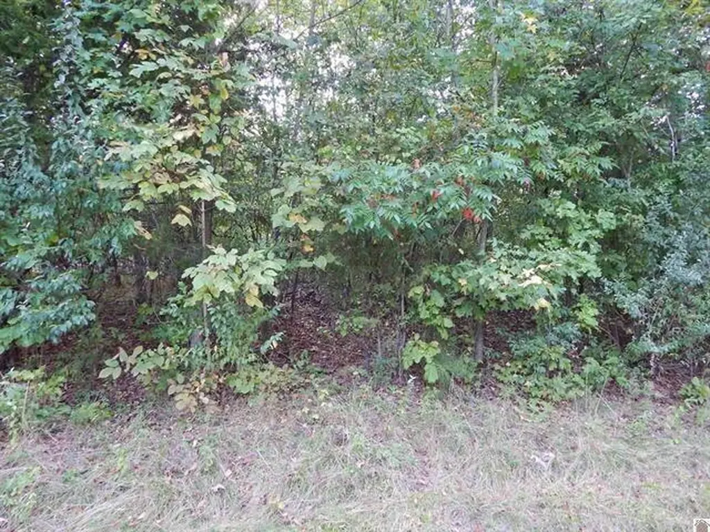 Lot 45 Forest Lane Eddyville KY 42038