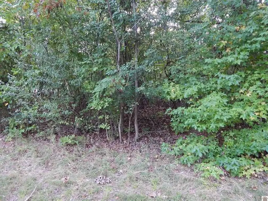 Lot 45 Forest Lane Eddyville KY 42038