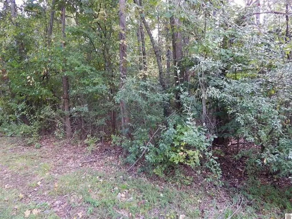 Lot 45 Forest Lane Eddyville KY 42038