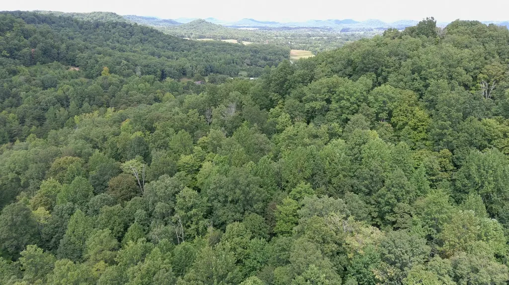 1803 Fisher Creek Road Lebanon KY 40033