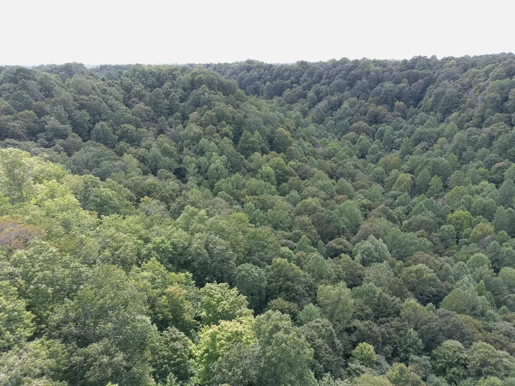 1803 Fisher Creek Road Lebanon KY 40033