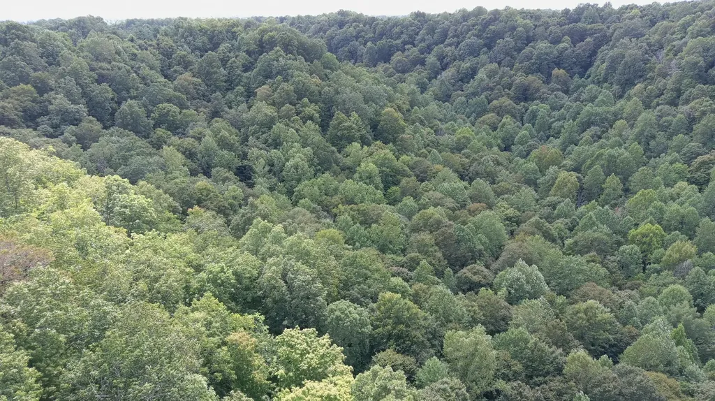 1803 Fisher Creek Road Lebanon KY 40033