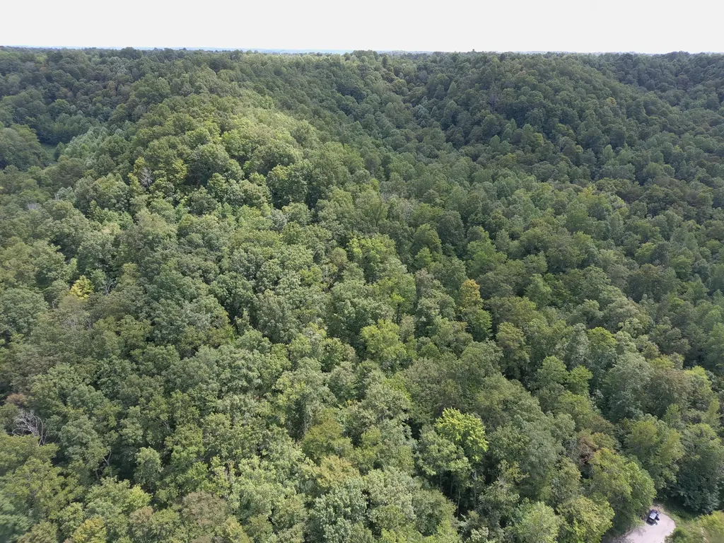 1801 Fisher Creek Road Lebanon KY 40033