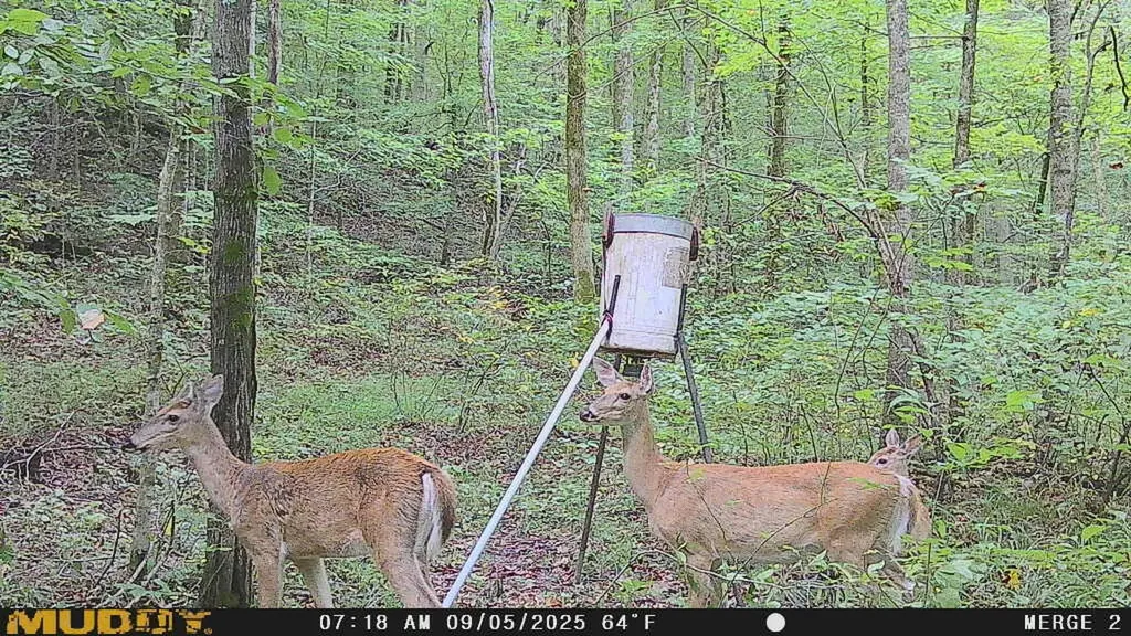 1801 Fisher Creek Road Lebanon KY 40033