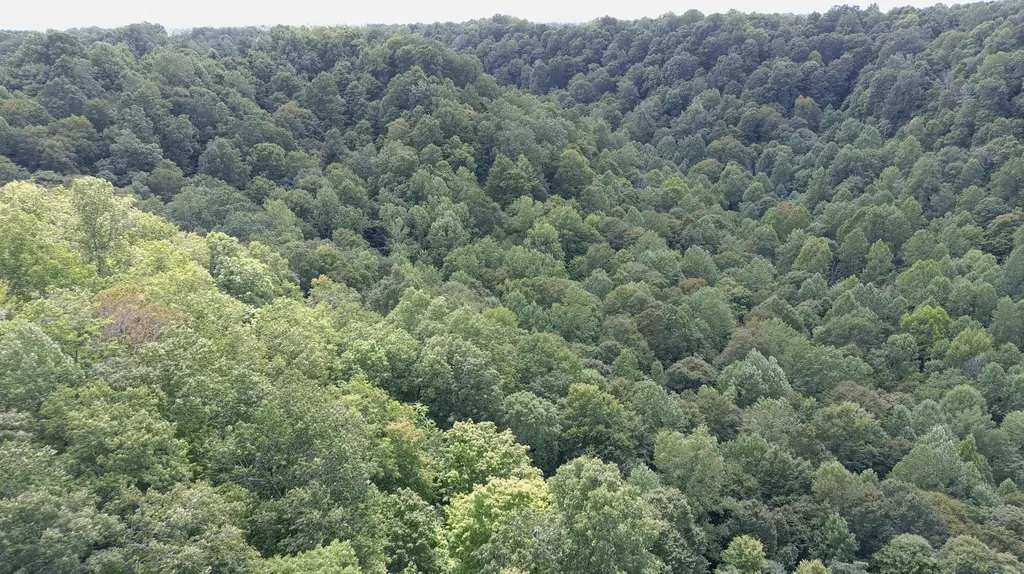 1801 Fisher Creek Road Lebanon KY 40033