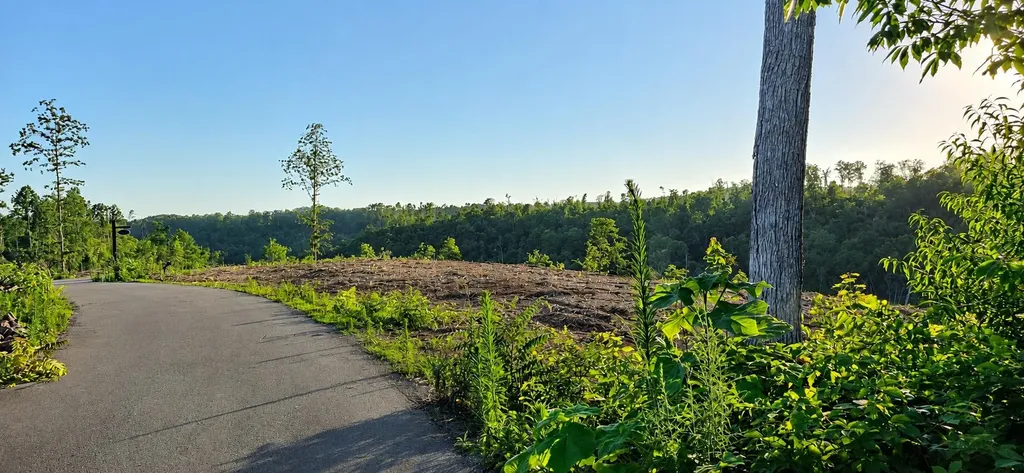 197 Peters Point Boulevard Russell Springs KY 42642
