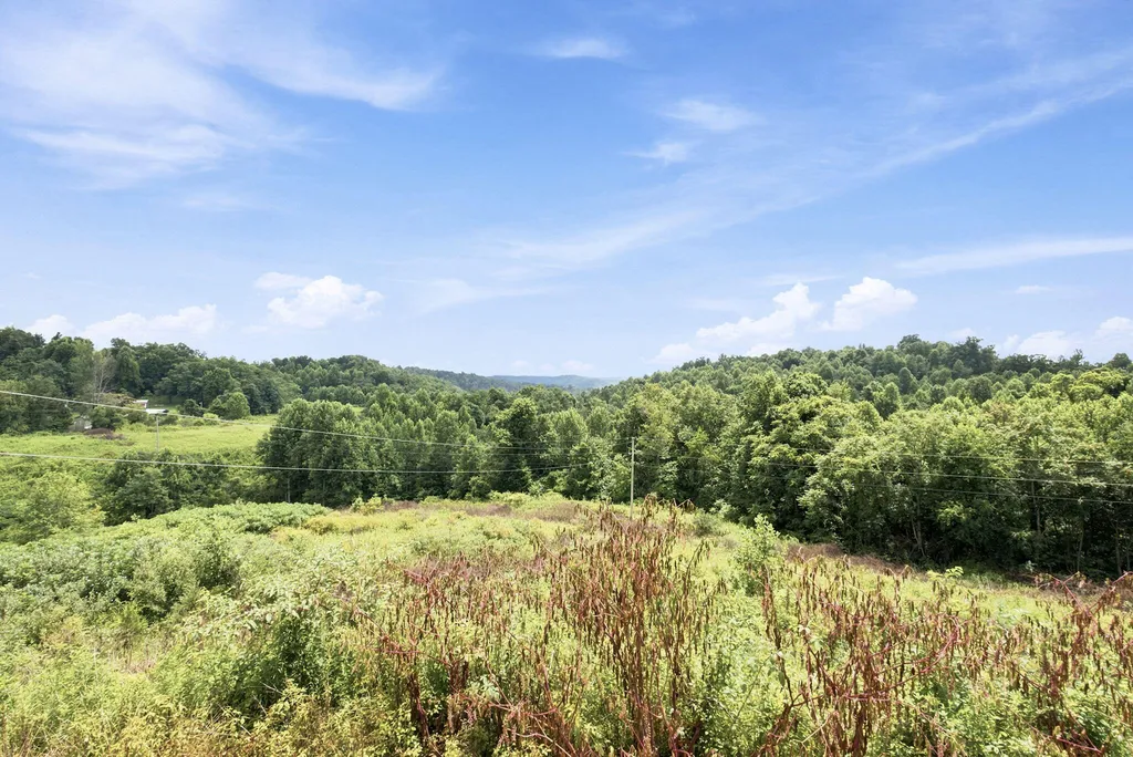 14240 Highway 2004 Mckee KY 40447