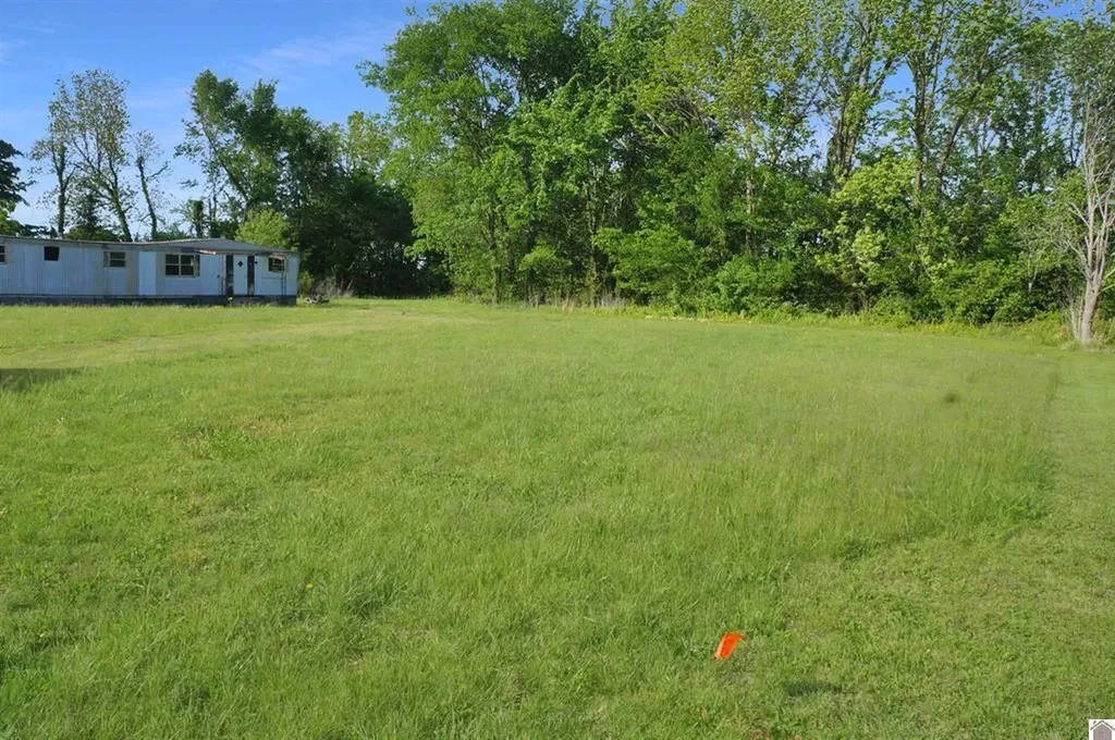 222 Almo Road Almo KY 42020