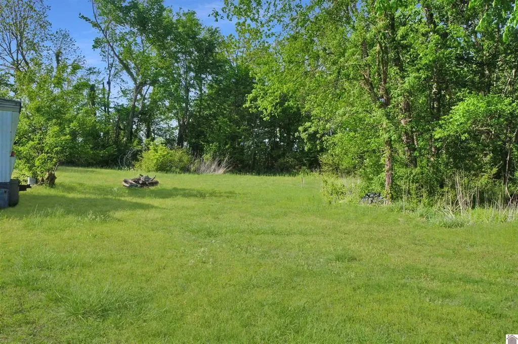 222 Almo Road Almo KY 42020