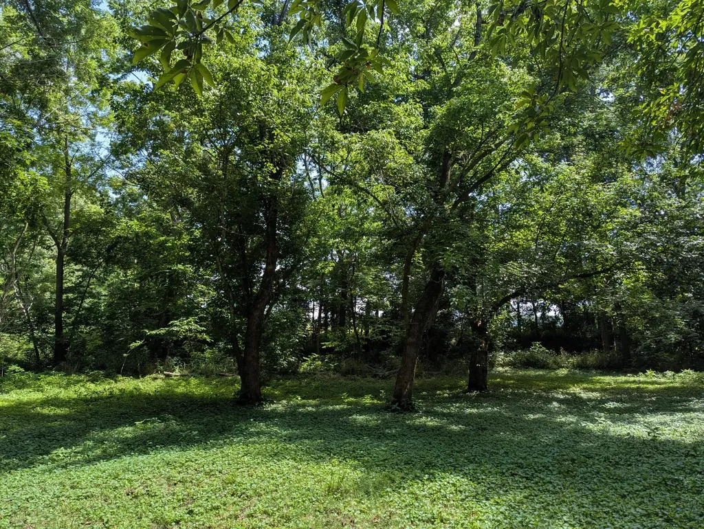 1973 Robinson Union Road Cynthiana KY 41031