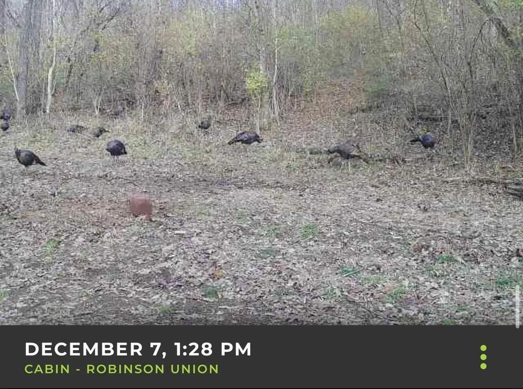 1973 Robinson Union Road Cynthiana KY 41031