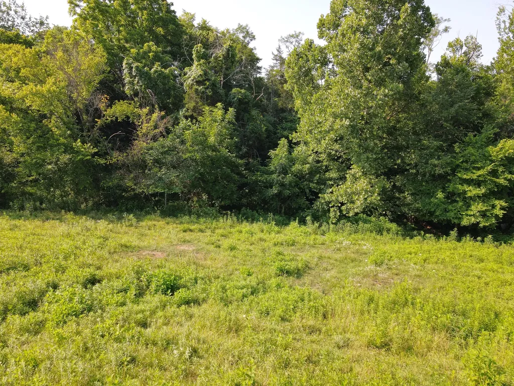 1710 State Highway 1009 Monticello KY 42633