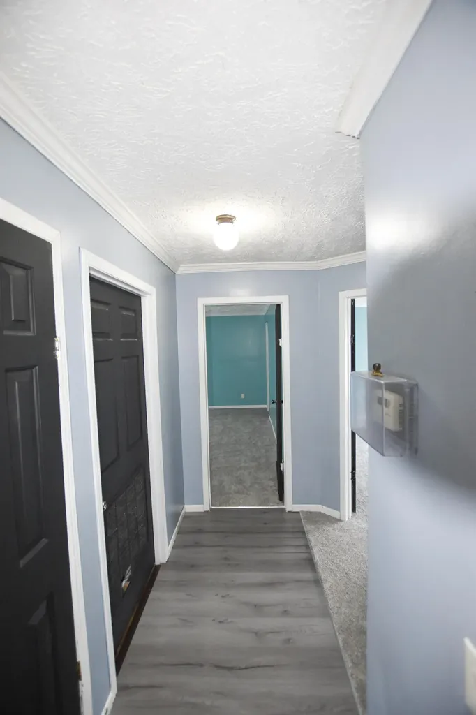 40 Marigold Lane Grayson KY 41143