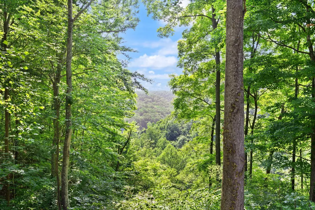 529 Cliffside Drive Russell Springs KY 42642