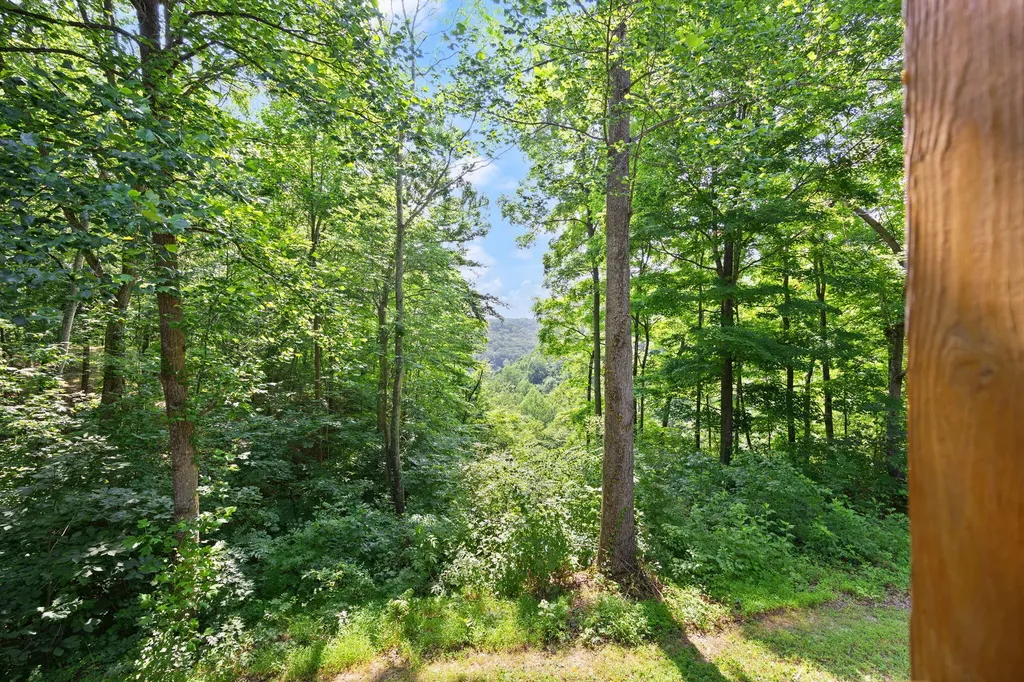 529 Cliffside Drive Russell Springs KY 42642