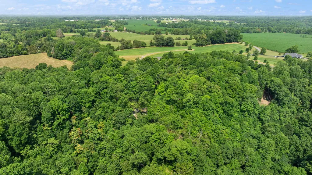 529 Cliffside Drive Russell Springs KY 42642