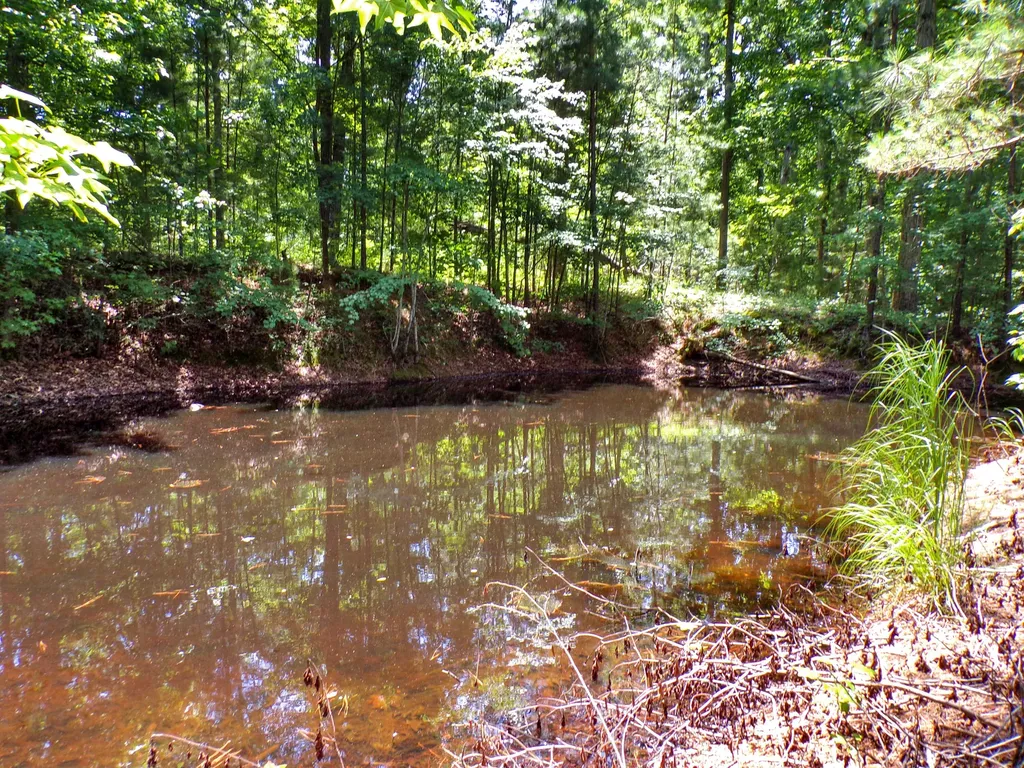 209 Jonathan Shores Road Benton KY 42025