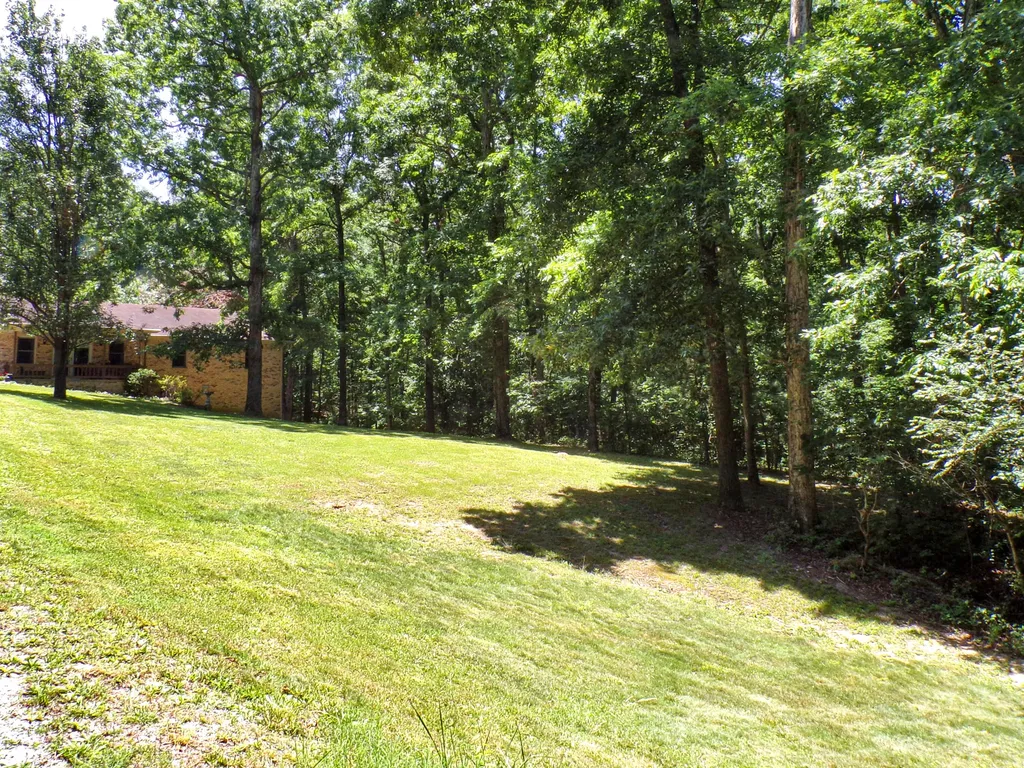 209 Jonathan Shores Road Benton KY 42025