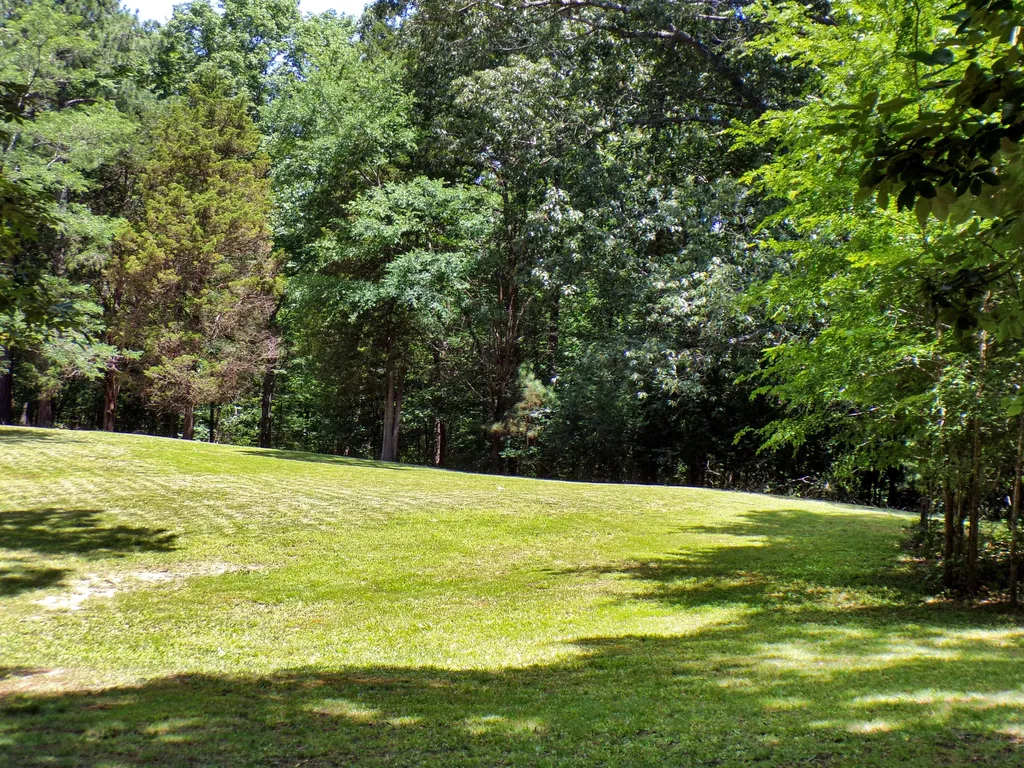 209 Jonathan Shores Road Benton KY 42025